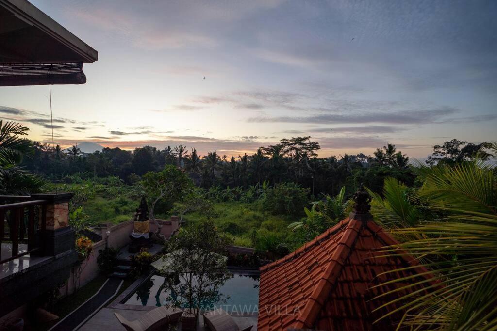 Beautiful 3 Bedroom Jungle View Ubud Eksteriør bilde
