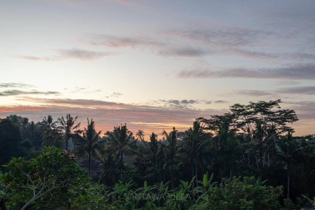 Beautiful 3 Bedroom Jungle View Ubud Eksteriør bilde